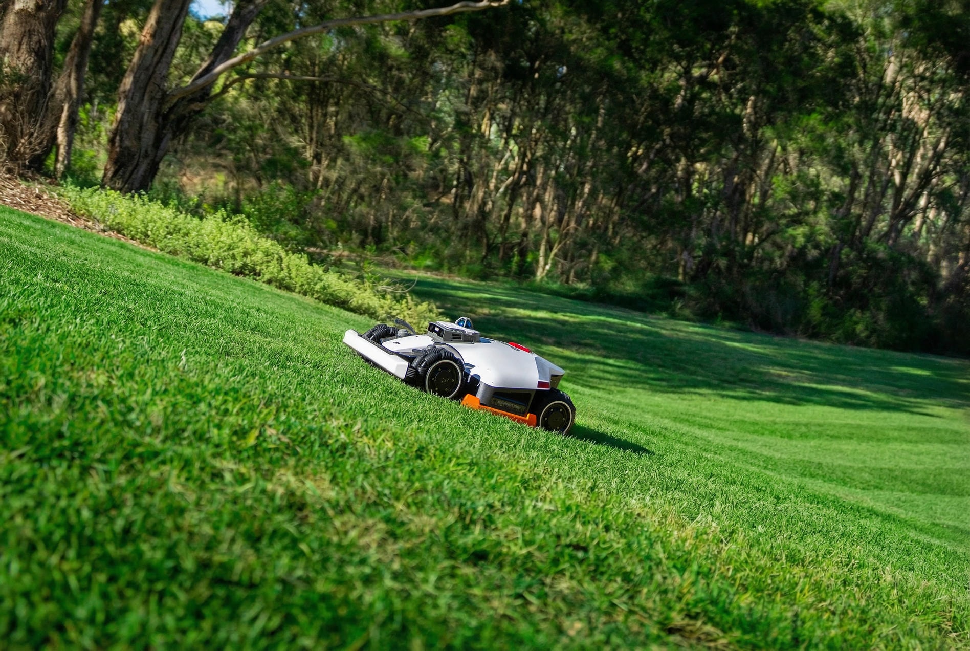Robotic mower climbing a tree-lined slope